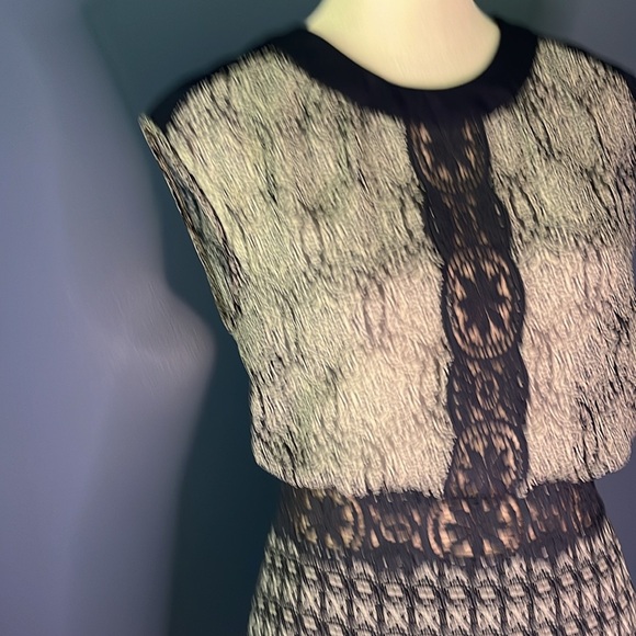 BCBG MaxAzria, Aymeline, sleeveless dress, dark ink navy combo fabric - Picture 11 of 15